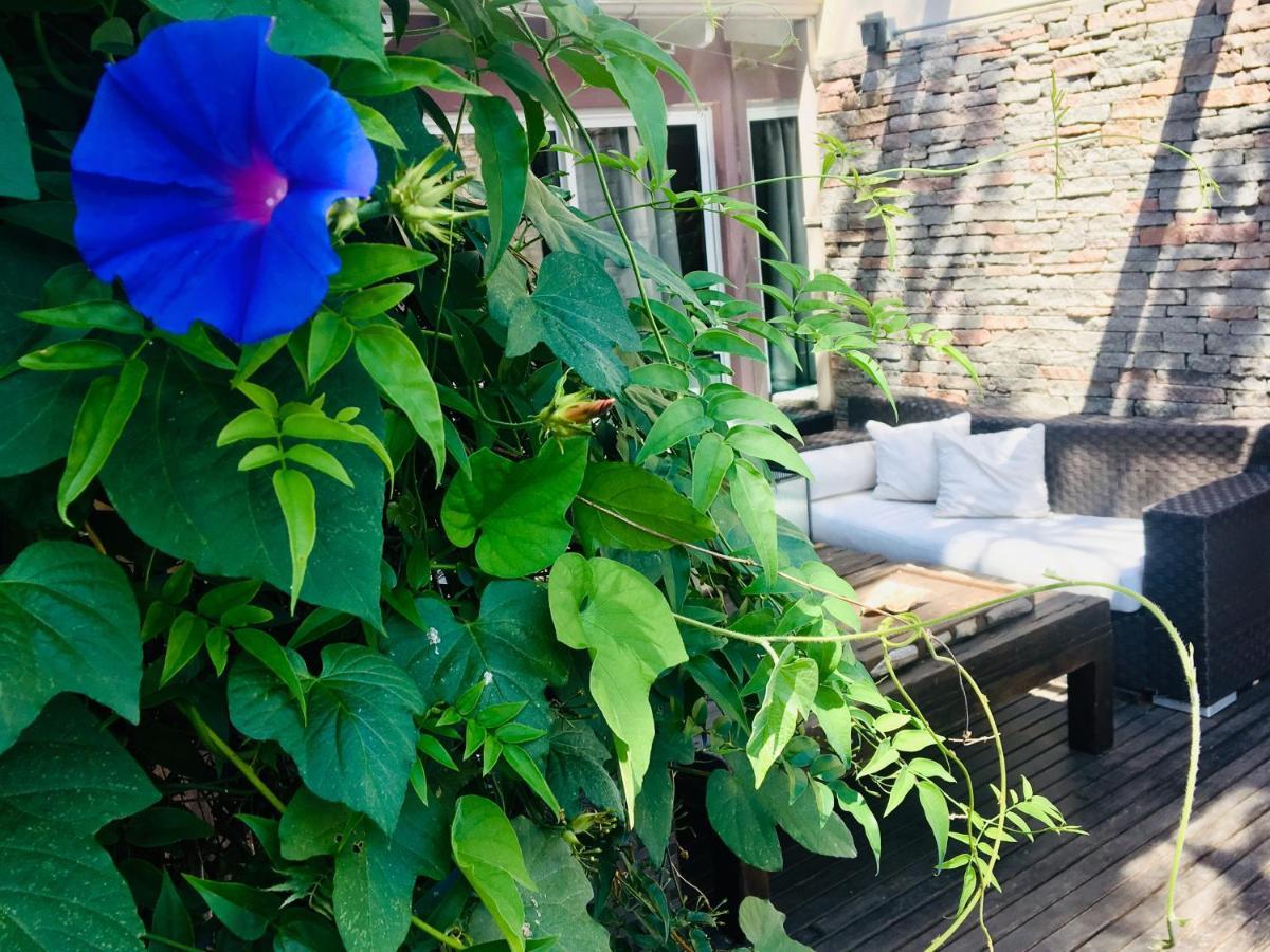 Bed and Breakfast Cool Clima Оливос Экстерьер фото